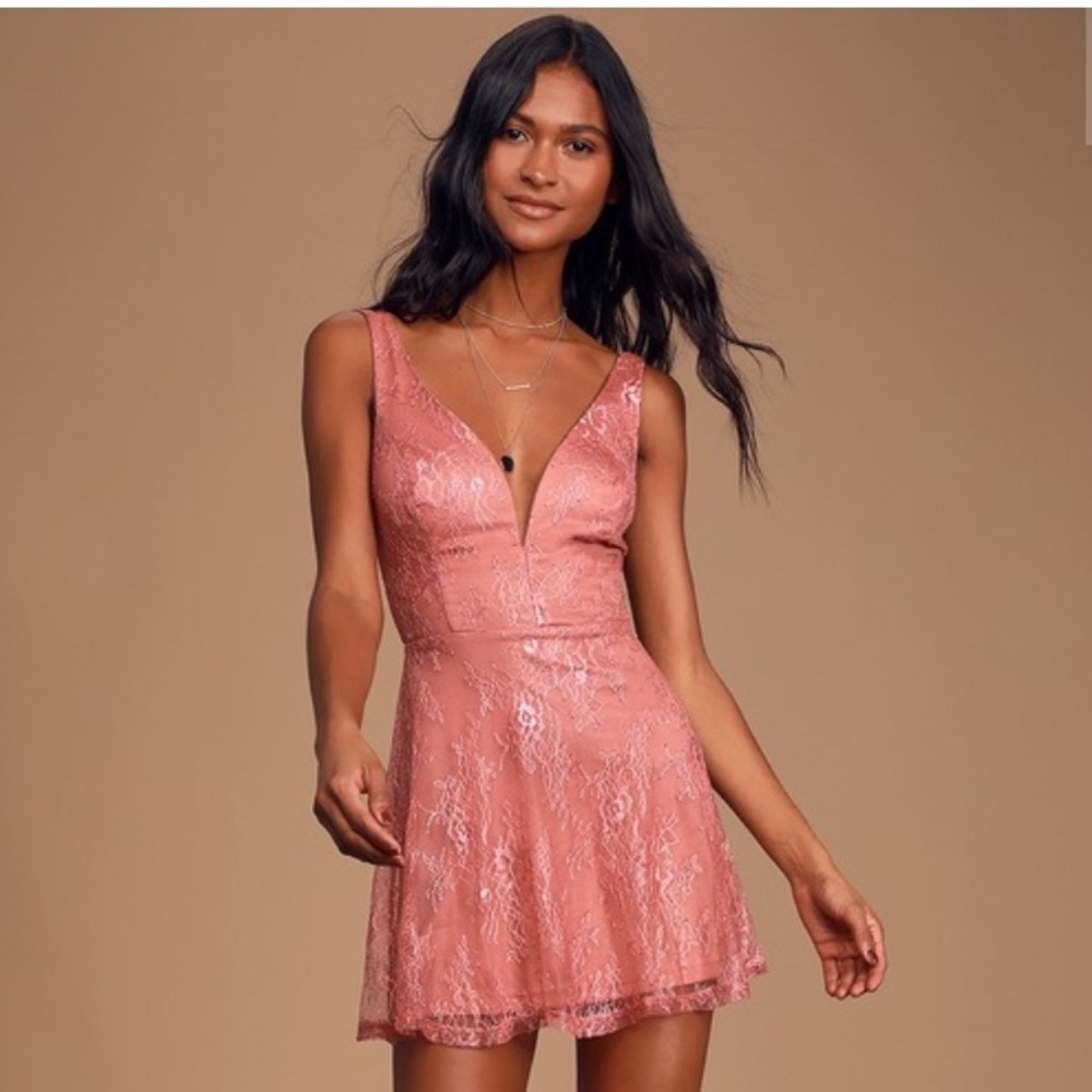 NWT Mauve Pink Lace Skater Dress